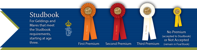 Keuring/Judging Premiums for mares and geldings