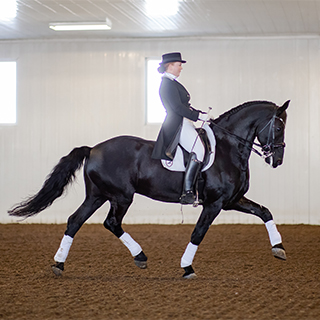 Trainer Rebecca Cade, Riding Quillin FC. Photo by Mark Muilwijk.